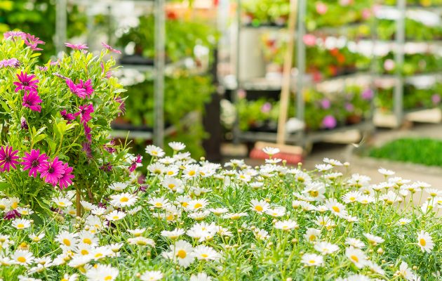 Artificial Grass for Garden Centres and Plant Nurseries