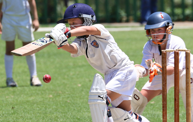 Artificial Grass for Cricket Pitch