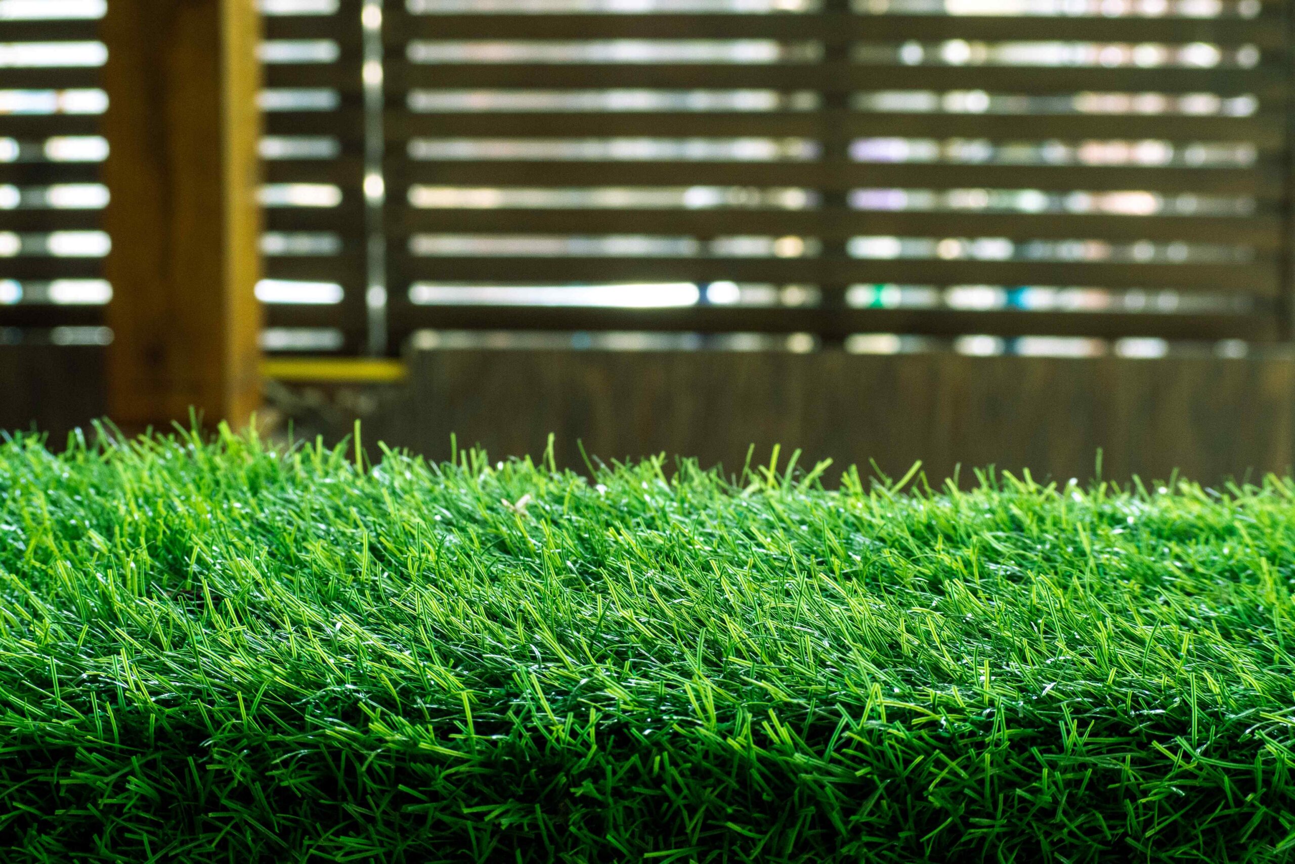 best artificial grass for Queensland