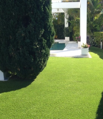 Landscaping