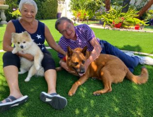 artificial grass for aged care