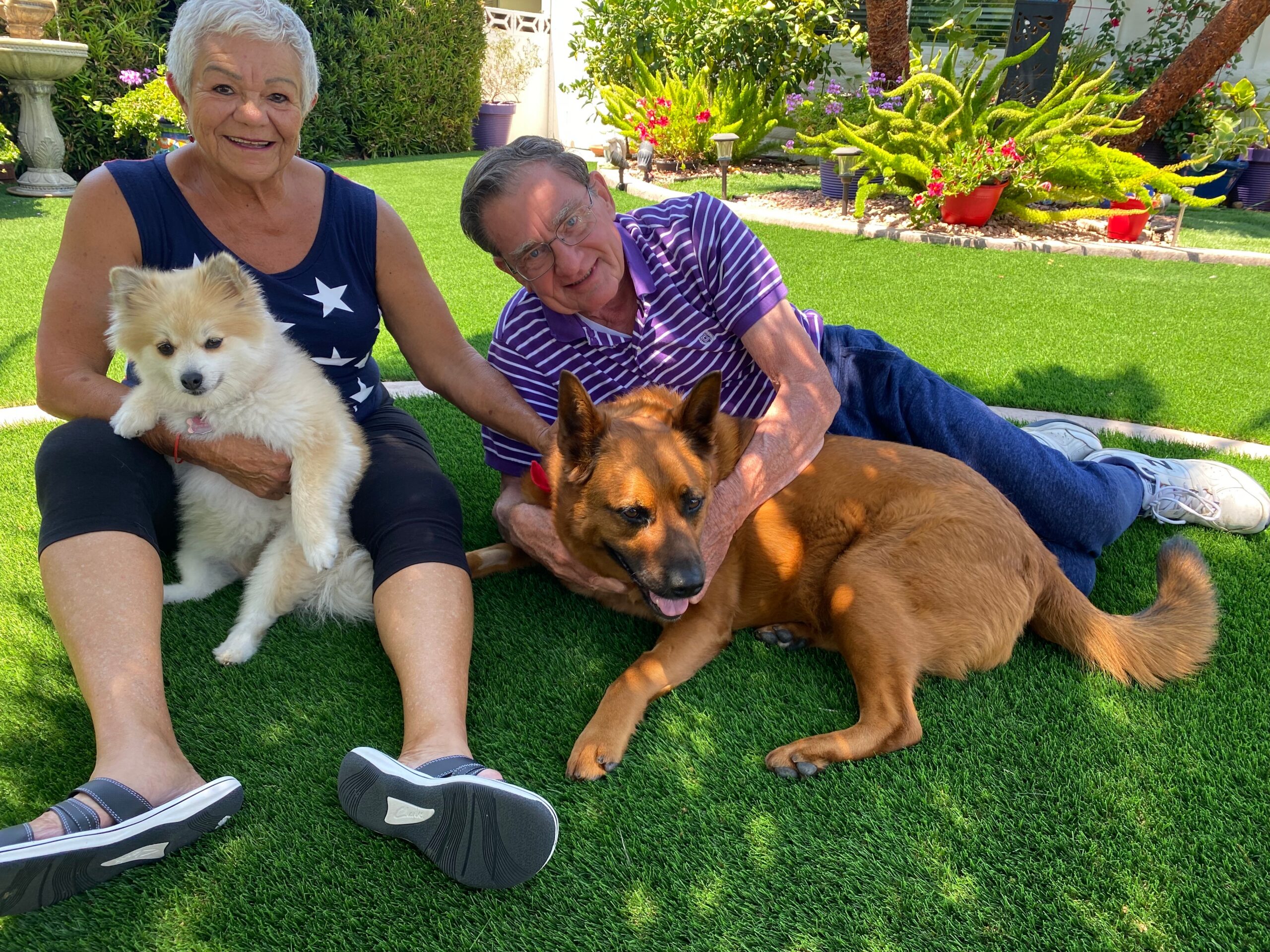 artificial grass for aged care